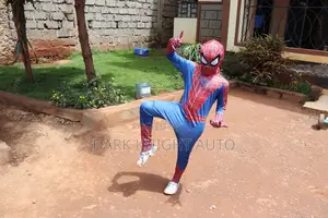 Spiderman Superhero Costumes