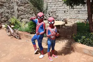 Spiderman Superhero Costumes