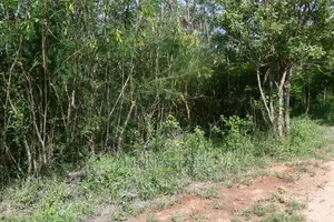 Kilifi Plantation One Acre Land