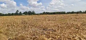 Several 1⁄4 Plots for Sale Marura Eldoret in Gated Community