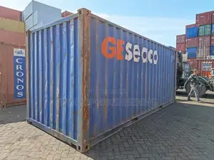 20ft DW Shipping Container for Sale - GE Seaco