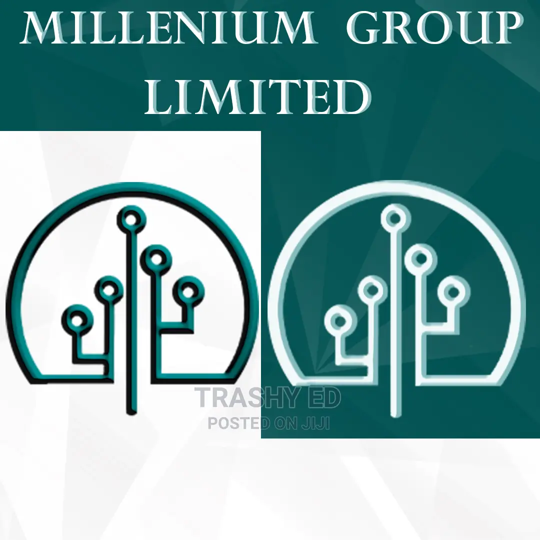 Graphic and Web Designer