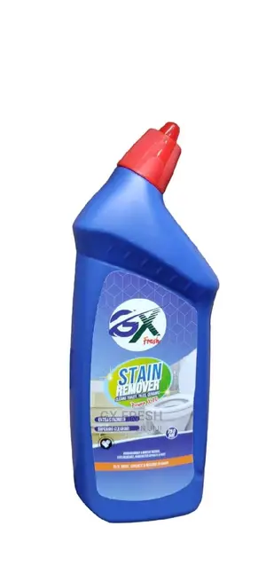 GX 500ml Stain Remover