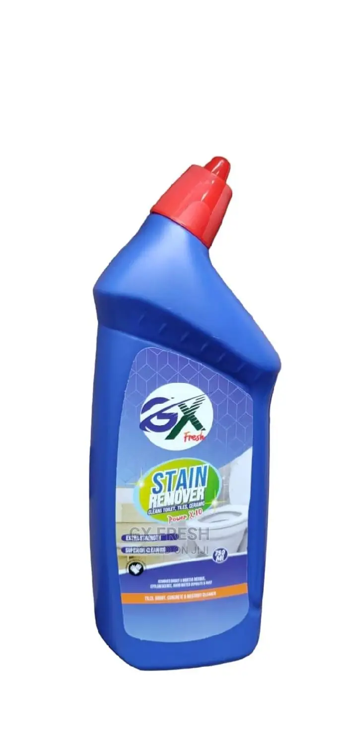 GX 500ml Stain Remover