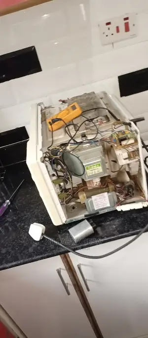 Microwave Repair Services