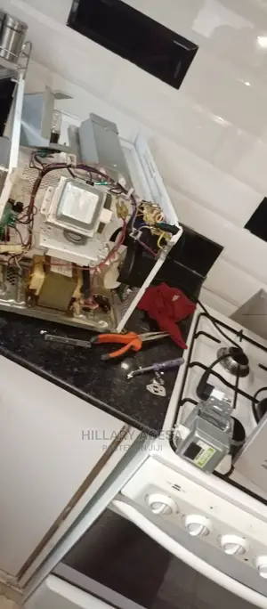 Microwave Repair Services