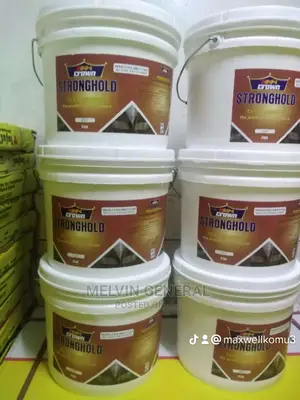 Stronghold Tile Adhesive Glue 4kg