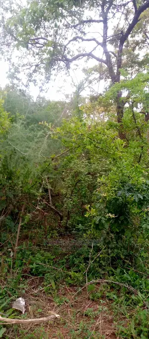 Developed Land for Settlement.