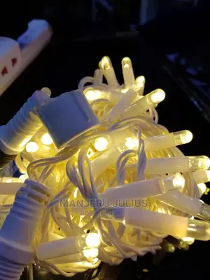 10 Meters Warm White Christmas Lights
