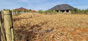 Big 1⁄4 Plot for Sale in Chepkanga Willow Tree Eldoret