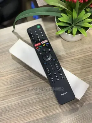 Original Sony Remote (New)