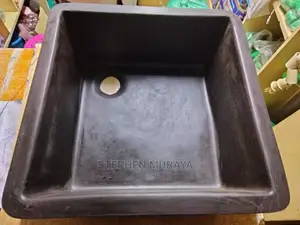 Laboratory Sinks