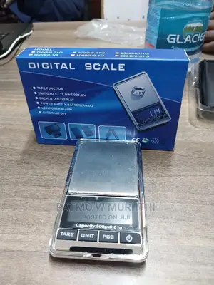 Digital Weighing Scale Max-500 Grams