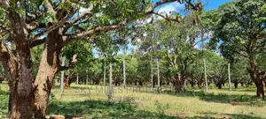 A Prime 8 Acre Land on Sale at Mtwapa