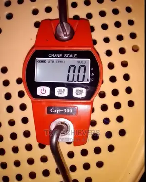 300kg Hanging Scale