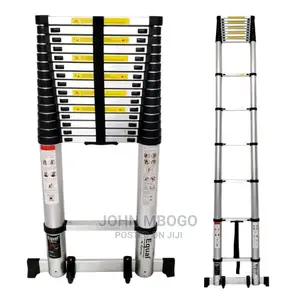 Single Telescopic Ladder .