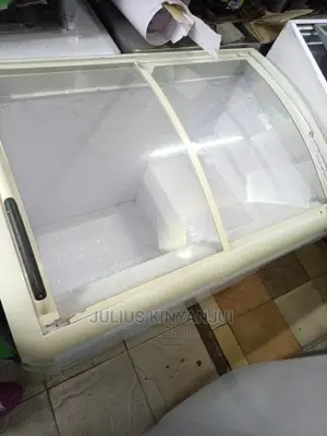Showcase Freezer 300l