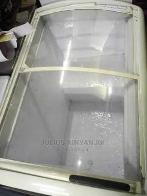 Showcase Freezer 300l