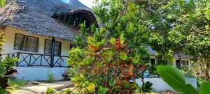 Msambweni Beach Villa Available for Holiday Bookings