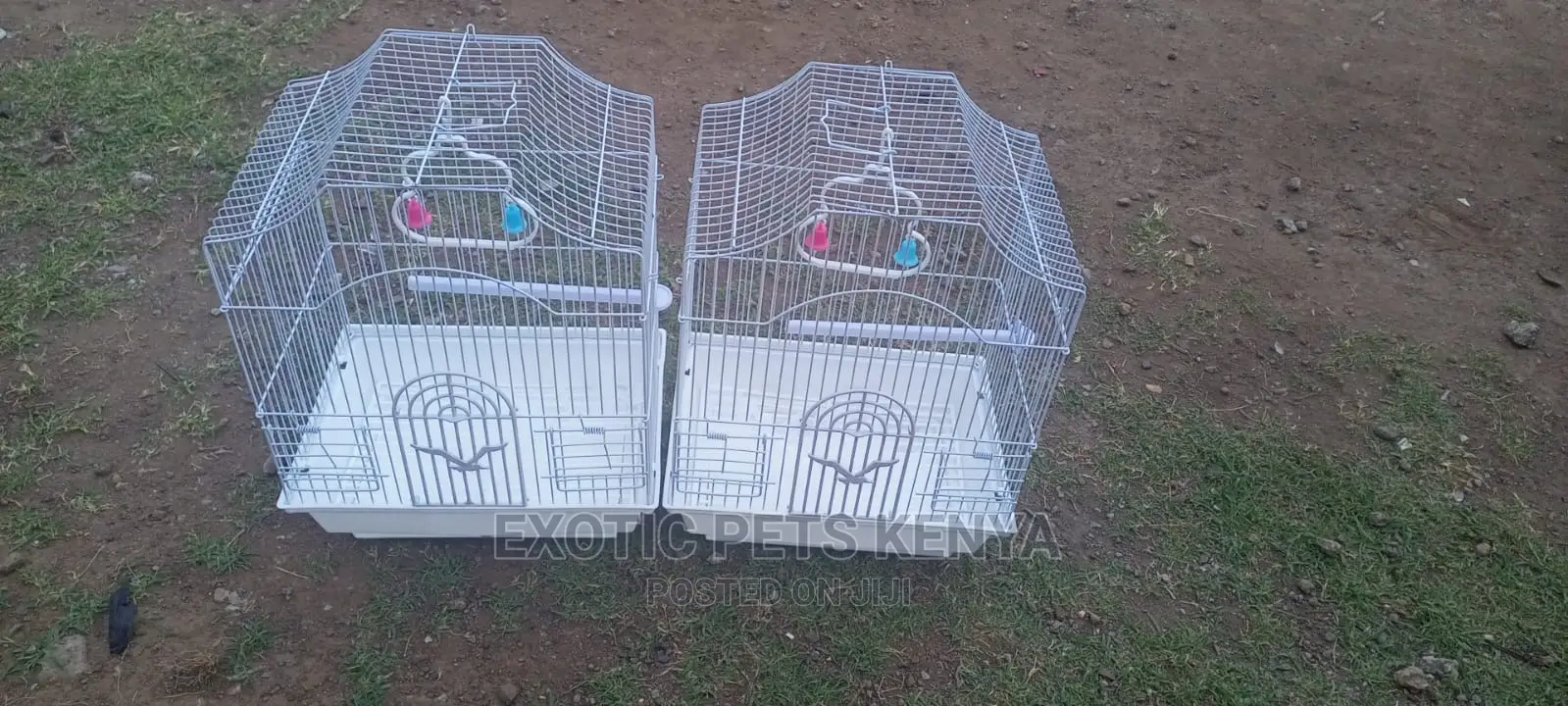 Bird Cages for Sale