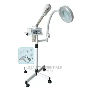 3 in 1 Facial Steamer With Facial Brushes