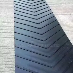 The Stainless B1000 Conveyor Belt Machine for Coal