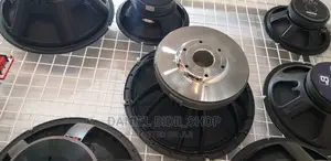 18inch Pd Naked Bass Speaker
