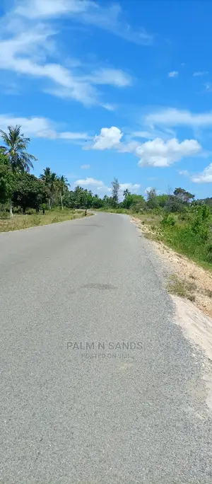 Majoreni 40 Acres Prime Property!! At 
