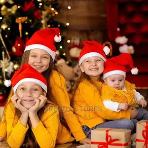 Christmas Hat