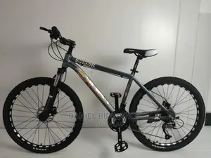Adult Bicycle Black Size 24