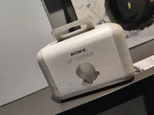 Sony WF-1000XM4(New)
