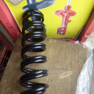 Heavy Duty Coil Springs for Mazda Demio and Mazda Verisa