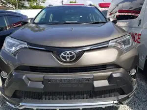 Toyota RAV4 SE AWD (2.5L 4cyl 6A) 2016 Gray