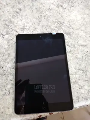Apple iPad Mini 2 16 GB Gray