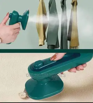 Electric Handheld Steam Iron-Ca