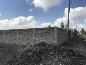 100 By100 Plot Syokimau.