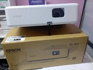 Epson Epiqvision Flex Co-W01 Portable Projector