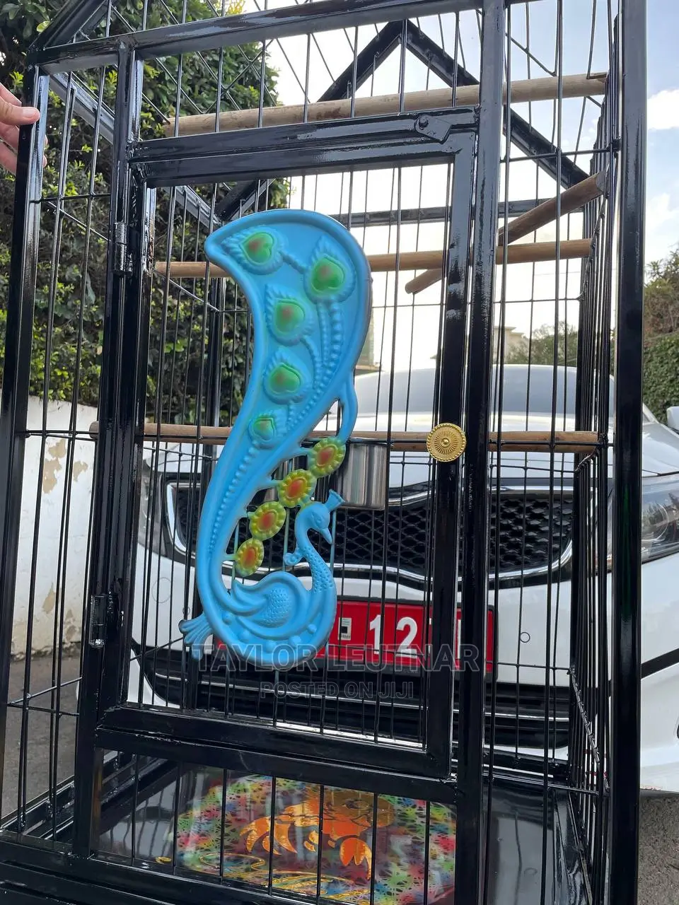 Pegions Parrot Cages