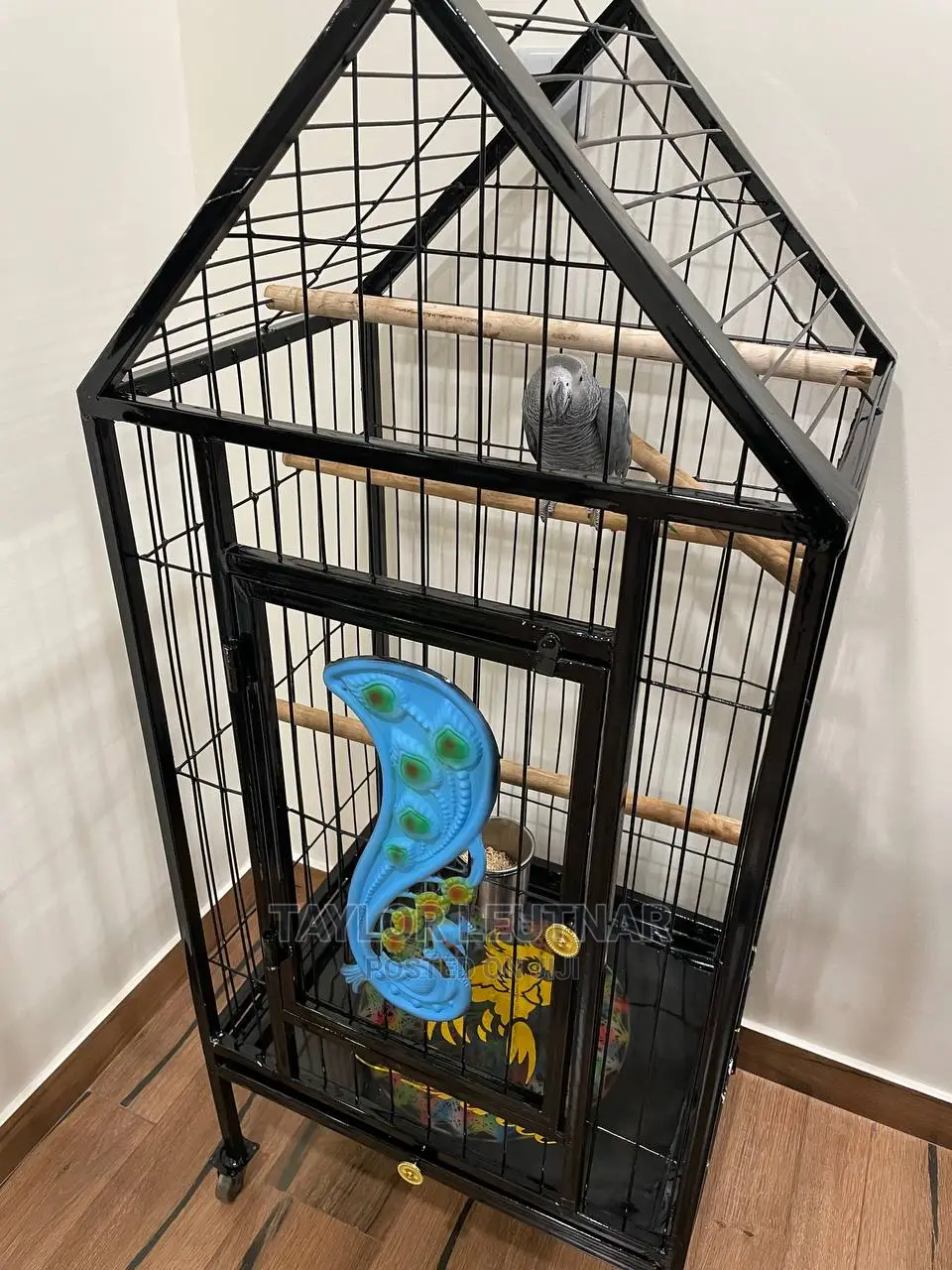 Pegions Parrot Cages