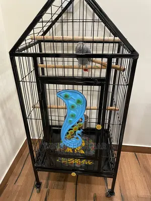 Pegions Parrot Cages