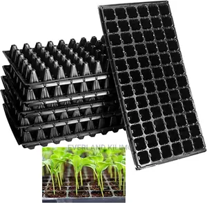 New Seed Trays