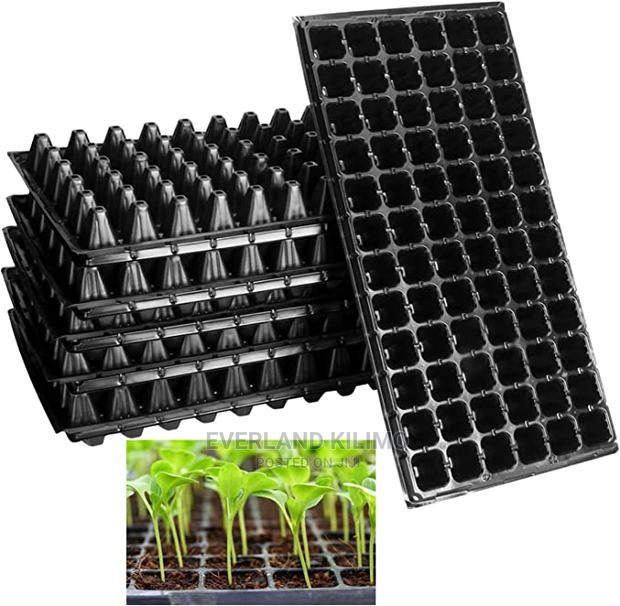 New Seed Trays - main view