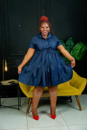 Fancy Denim Skater Dress