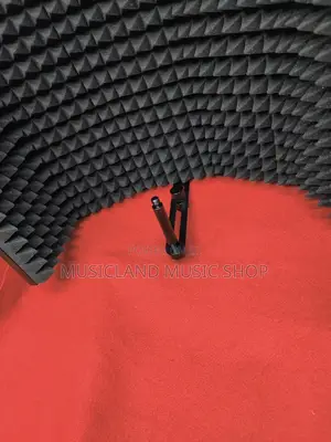 Microphone Vocal Shield