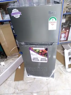 Double Doors 128 Litres Roch Fridge.