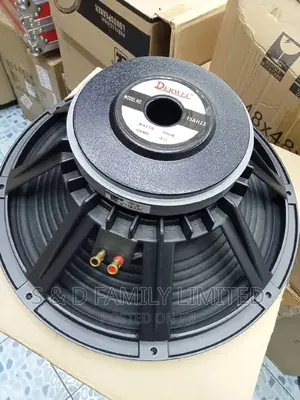 Derwel 15AH23 15 Inch Naked Speaker