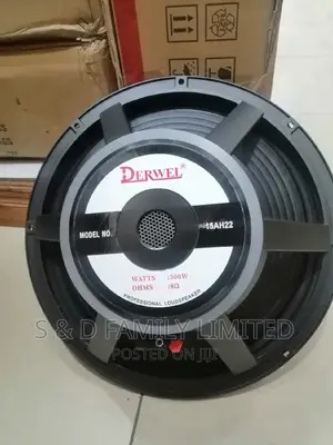 Derwel 15AH22 15 Inch Naked Speakers