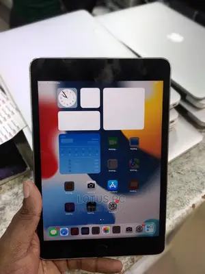 Apple iPad Mini 4 128 GB Gray