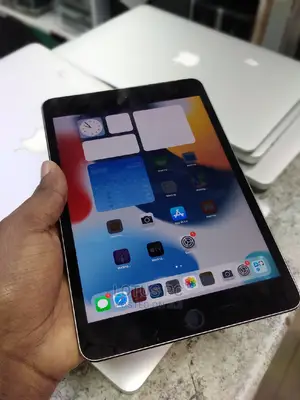 Apple iPad Mini Wi-Fi 128 GB Gray