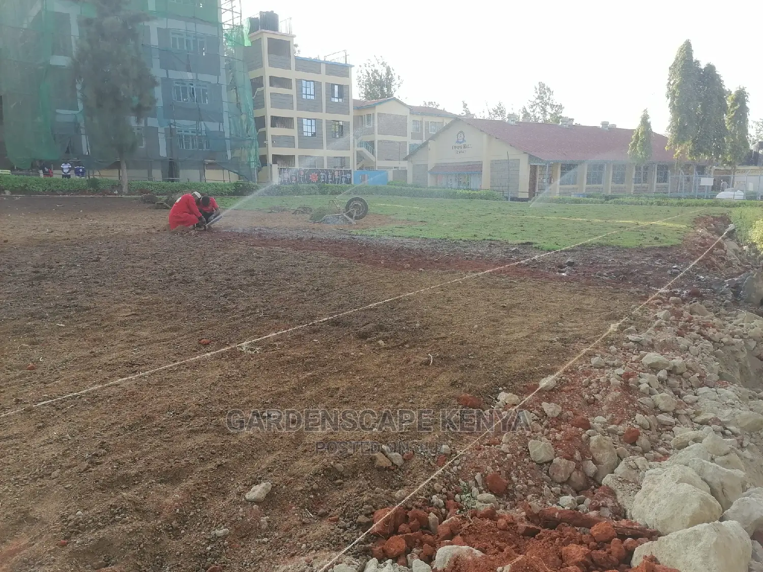Pop Up Irrigation System Installation.
